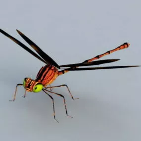 Red Dragonfly 3d model