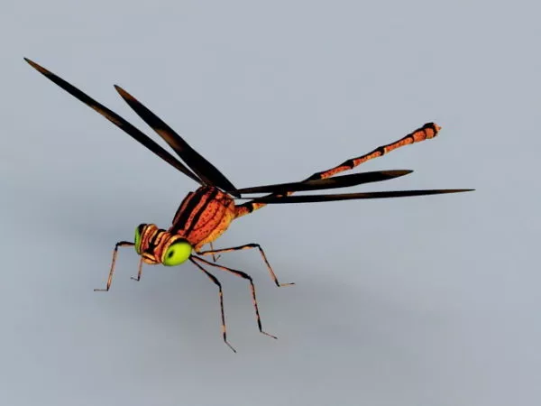 Realistic Yellow Dragonfly 3d model