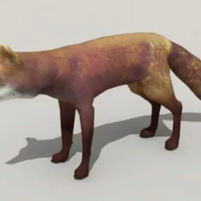 Red Fox Animal 3d model