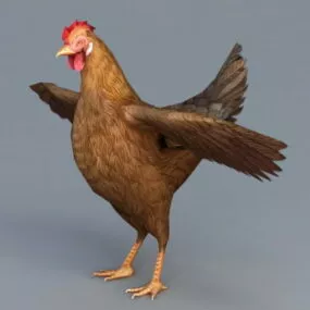 Red Hen Chicken 3d model