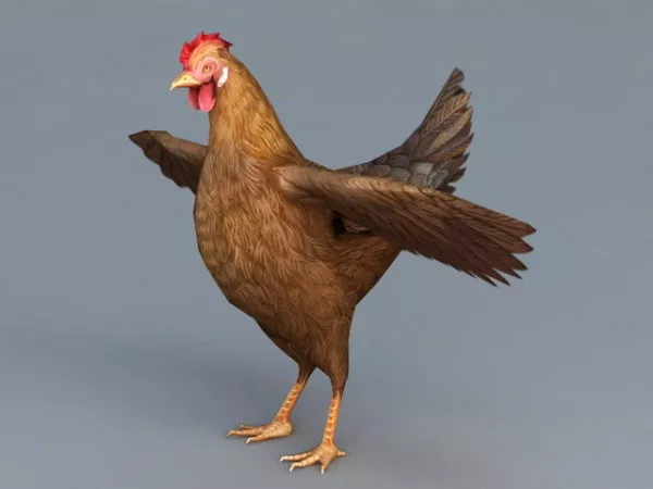Egg With Chicken 3d model
