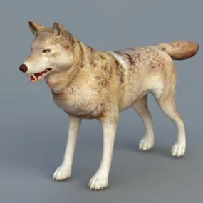 Red Wolf 3d model