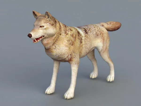 Wolf Running 3d model
