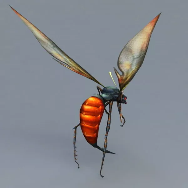 Realistic Orange Hornet 3d model