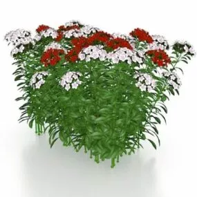 Red And Pink Flowering Plants 3d model