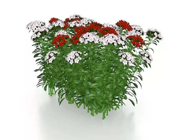 Red And Pink Flowering Plants 3d model Red And Pink Flowering Plants 3d model