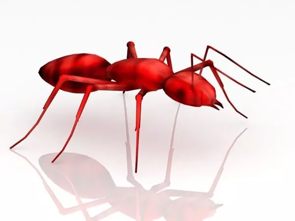 Humanoid Ant Animated With Rig 3d model