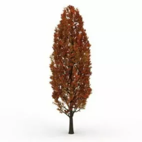 Red Cypress Tree 3d model