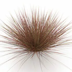 Red Grass 3d model