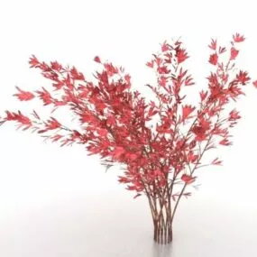 Red Leaf Birch Tree 3d model