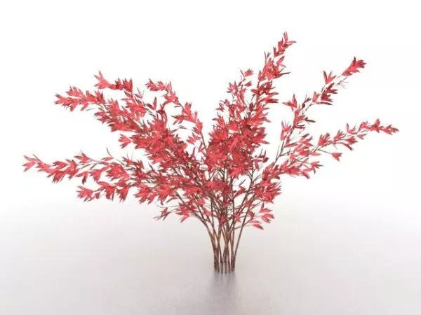Red Leaf Trees 3d model Red Leaf Trees 3d model