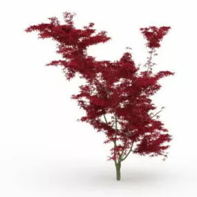 Red Maple Tree 3d model