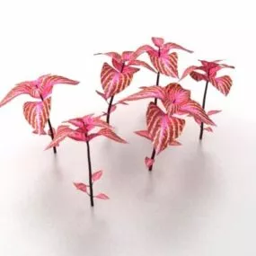 Red Plants For Landscaping 3d model