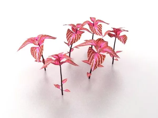 Red Plants For Landscaping 3d model Red Plants For Landscaping 3d model