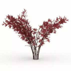 Red Tipped Photinia Shrub 3d model