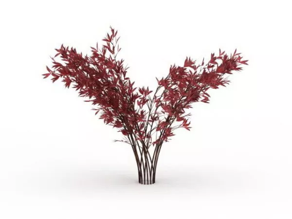 Monrovia Shrub Plant 3d model
