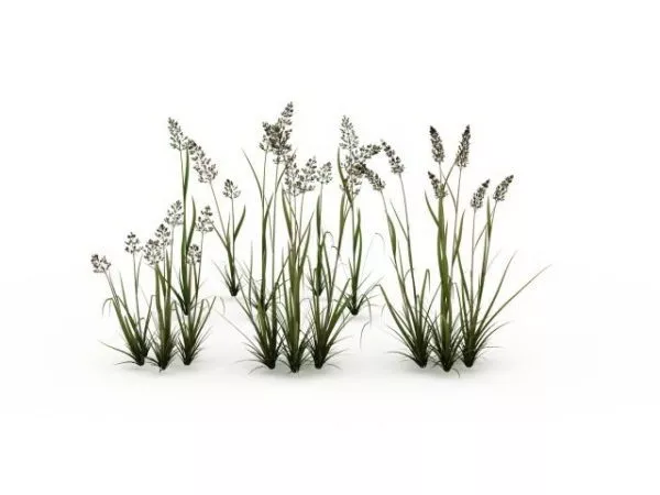 Box Grass Pot T Shape 3d model