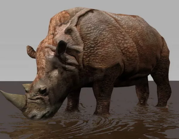Rhino Rig & Animated 3d model Rhino Rig & Animated 3d model