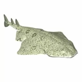 Ringstreaked Guitarfish Fish Animal 3d model
