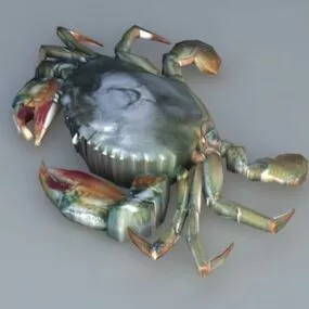 River Crab 3d model