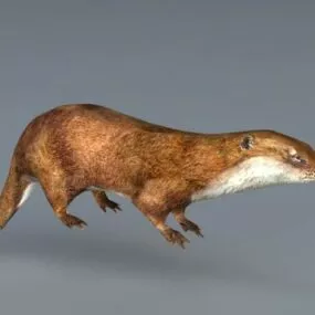 River Otter 3d model