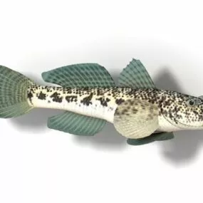 Animal Round Goby Fish 3d model