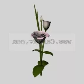 Russell Prairie Gentian Plant 3d model