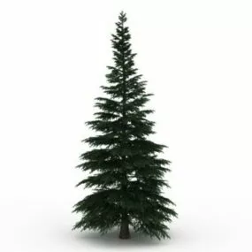 Russian Fir Tree 3d model