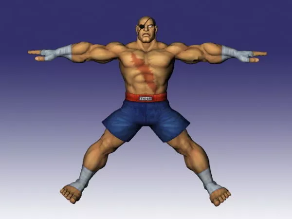 Sagat In Street Fighter 3d model Sagat In Street Fighter 3d model