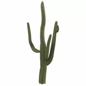 Saguaro 3d model