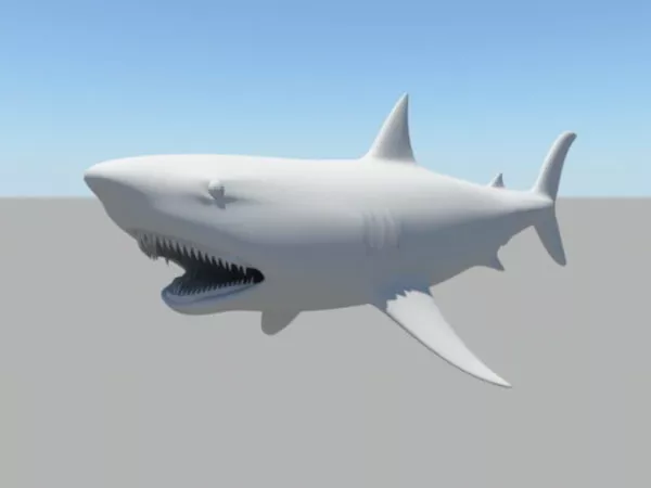 Scary Huge Shark 3d model Scary Huge Shark 3d model
