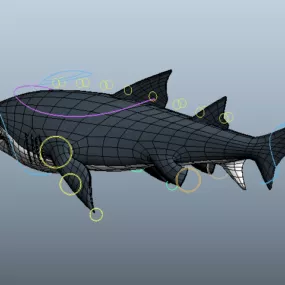 Scary Shark 3d model