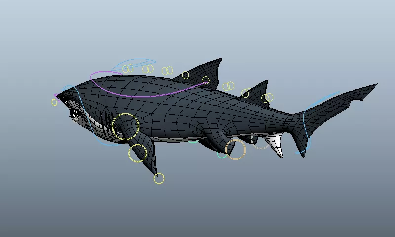 Blacktip Shark Sea Animal 3d model