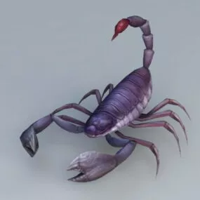 Scorpion Animal 3d model