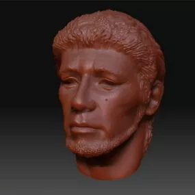 Old Man Head Sculpt Mesh 3d model