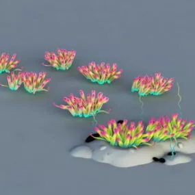 Sea Anemone 3d model