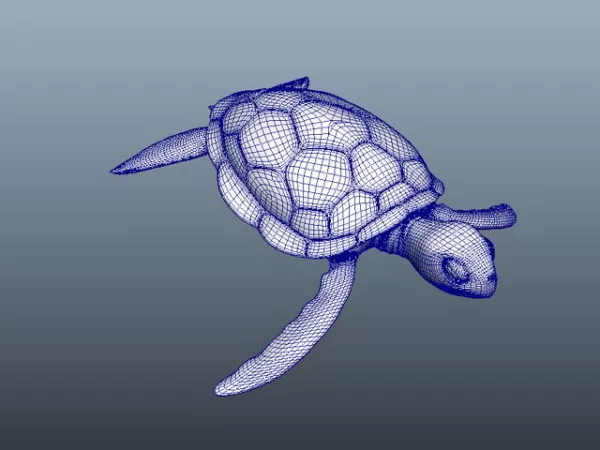 Sea Tortoise 3d model Sea Tortoise 3d model