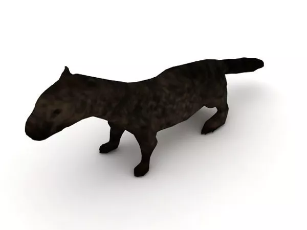 Sea Otter Animal 3d model Sea Otter Animal 3d model