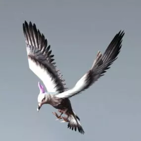 Seagull Flying Rig 3d model