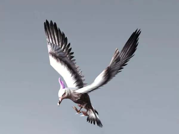Seagull Flying Rig 3d model Seagull Flying Rig 3d model