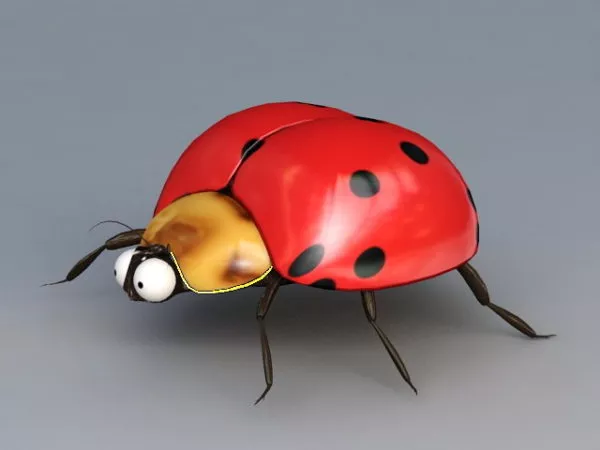 Seven Spotted Ladybug 3d model Seven Spotted Ladybug 3d model