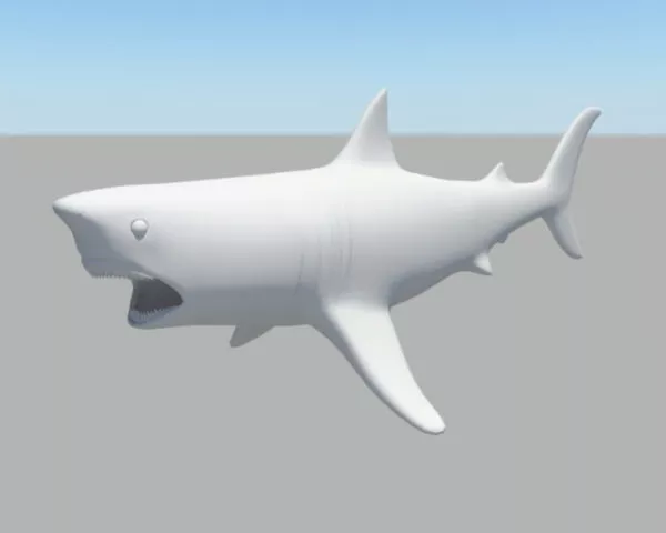 Shark 3d model Shark 3d model