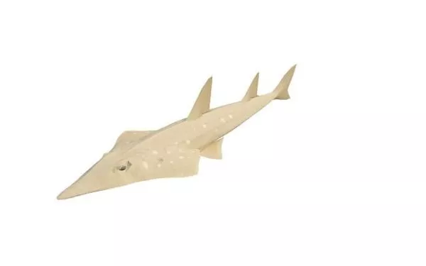 Shark With Boat Sea Landscape 3d model