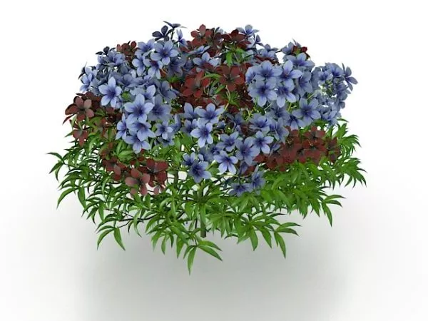 Shrub With Purple Flowers 3d model Shrub With Purple Flowers 3d model
