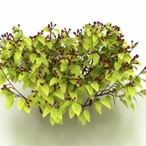 Shrub With Red Berries 3d model
