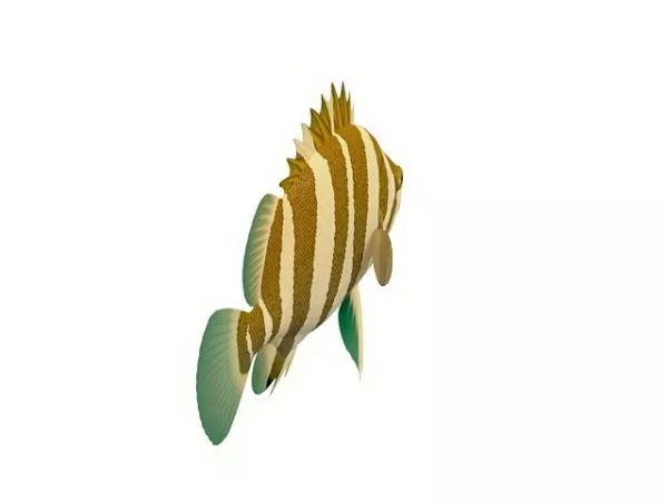 Siamese Tigerfish Animal 3d model Siamese Tigerfish Animal 3d model