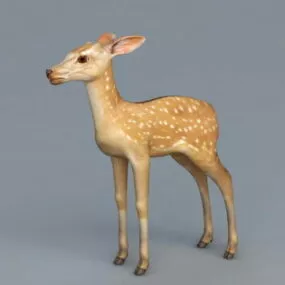 Sika Deer 3d model