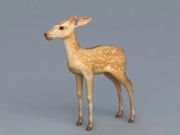 Beautiful Deer Lowpoly 3d model
