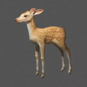 Sika Elk 3d model