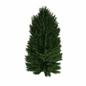 Single-leaf Pinyon 3d model